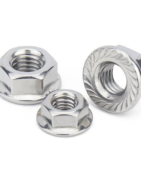 HM0152 STAINLESS STEEL FLANGE NUTS5