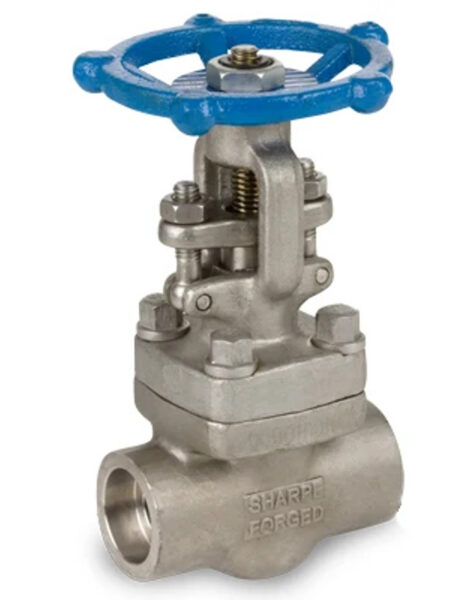 STAINLESS STELL GATE VALVES5