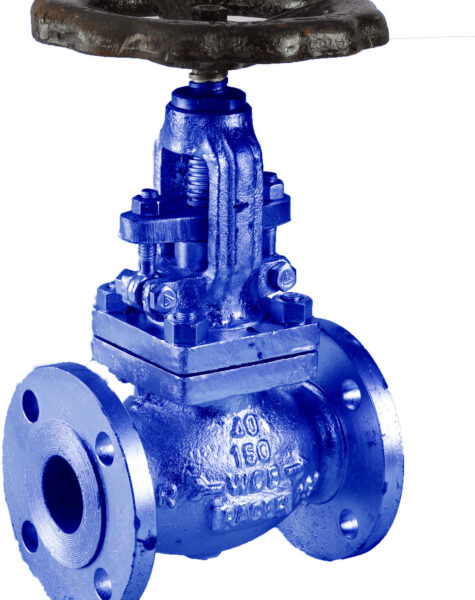 globe-valve